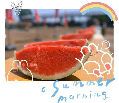 正宗吃瓜现场视频,一幕幕爆笑瞬间，带你领略民间欢乐