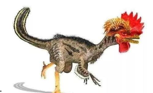 简单画吃瓜恐龙视频,一窥史前“吃瓜群众”的趣味生活