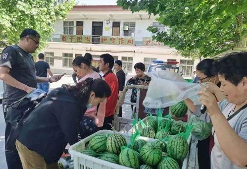 河南封丘吃瓜事件视频,一场引发社会关注的街头冲突