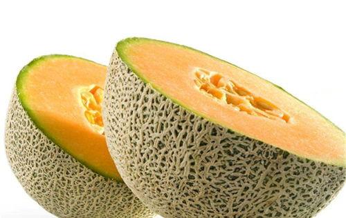 信鸽可以吃哈密瓜吗视频,哈密瓜成新宠？