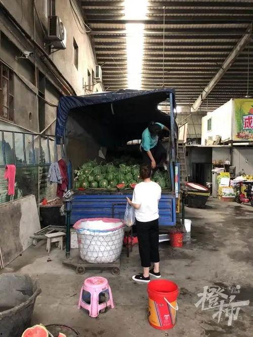 吃瓜群众摔护栏视频大全,惊险瞬间！吃瓜群众摔护栏视频大盘点