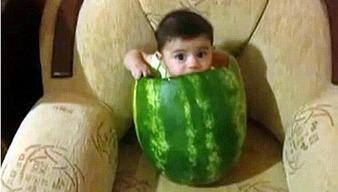 大胖子吃小瓜雪糕视频大全,趣味视频大盘点！