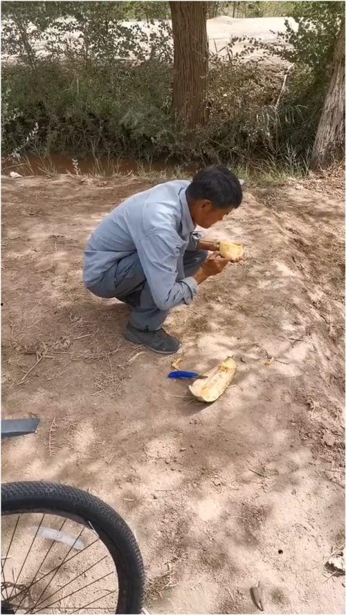 伽师吃瓜视频大全,伽师吃瓜视频大全精彩回顾