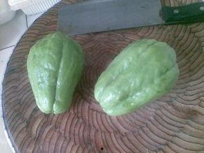 佛手瓜怎样吃最美味视频,视频教你如何烹饪出最佳口感