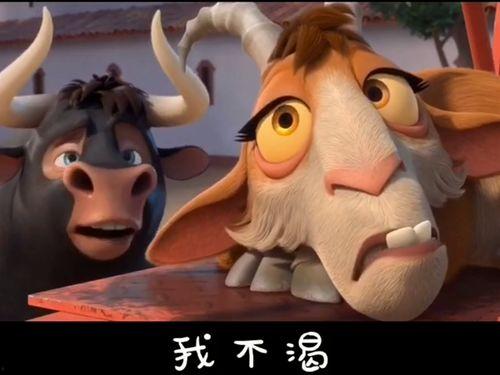 吃瓜群众的动物搞笑视频,吃瓜群众笑翻天的动物视频集锦