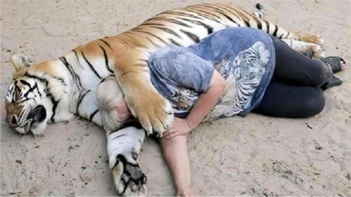 抓地虎吃瓜视频大全,趣味横生的搞笑瞬间大盘点