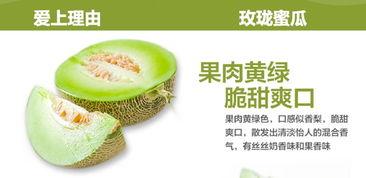 狗可以吃玫珑蜜瓜吗视频,揭秘狗能否享用美味玫珑蜜瓜