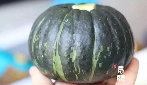 儿童吃的贝贝瓜视频,甜蜜滋味，健康成长