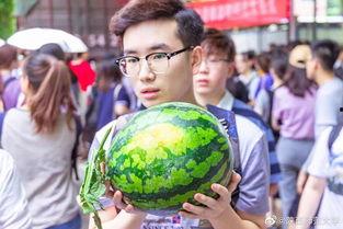 外国语学院吃瓜视频,揭秘校园生活趣味瞬间