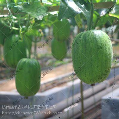 短视频吃瓜,揭秘网络热点背后的真相与笑料