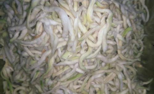 绞瓜丝好吃吗怎么吃视频,视频教你轻松制作佳肴