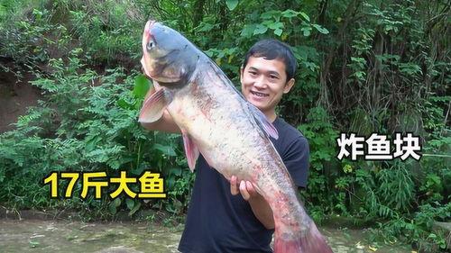 刘大瓜吃四脚鱼视频,美味与刺激并存