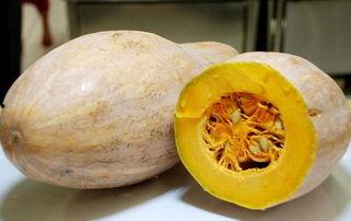 吃茭瓜会得癌症吗视频,吃茭瓜与癌症风险的关系