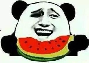 浪子吃瓜群众是真的吗视频,是真是假，一探究竟