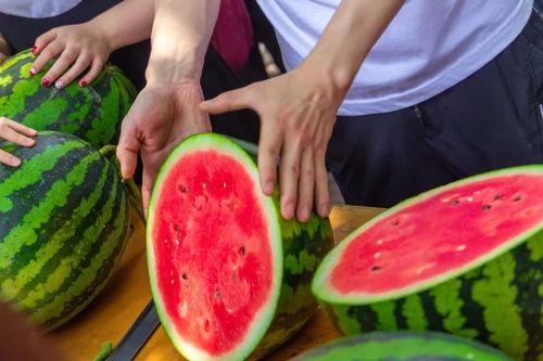 沧州学院吃瓜视频在线,揭秘校园生活趣味瞬间