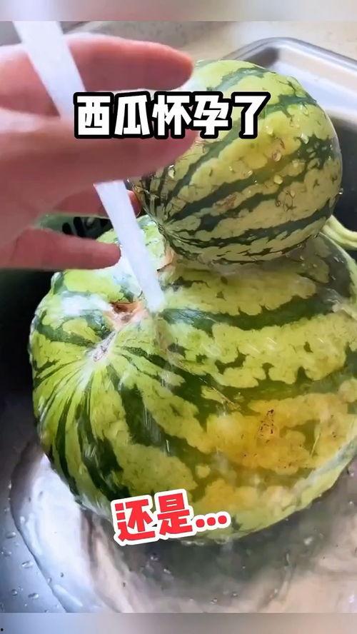 一口吃瓜搞笑视频,一口吃瓜视频，笑翻你的周末时光