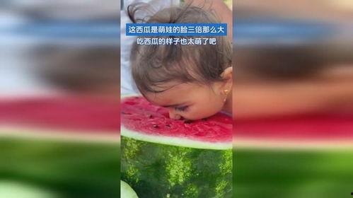 萌娃吃小瓜视频大全下载,萌趣瞬间，欢乐集结