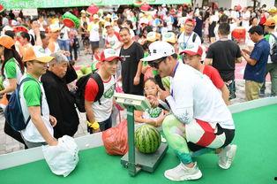 吃瓜群众嗨翻全场视频在线观看,现场气氛热烈